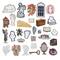 12 Pack: Dark Academia Ephemera by Recollections™